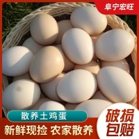 正宗新鮮土雞蛋農(nóng)家散養(yǎng)農(nóng)村自養(yǎng)雞蛋笨雞蛋柴雞蛋